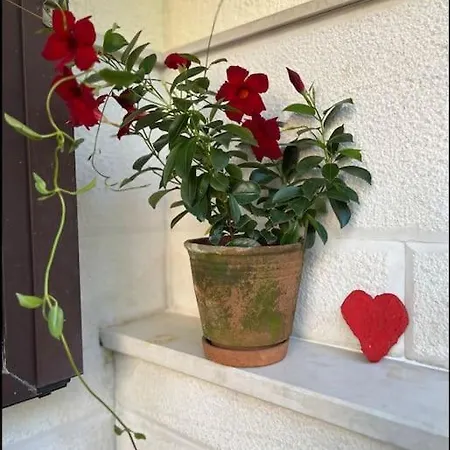 Apartment Eudaimonia